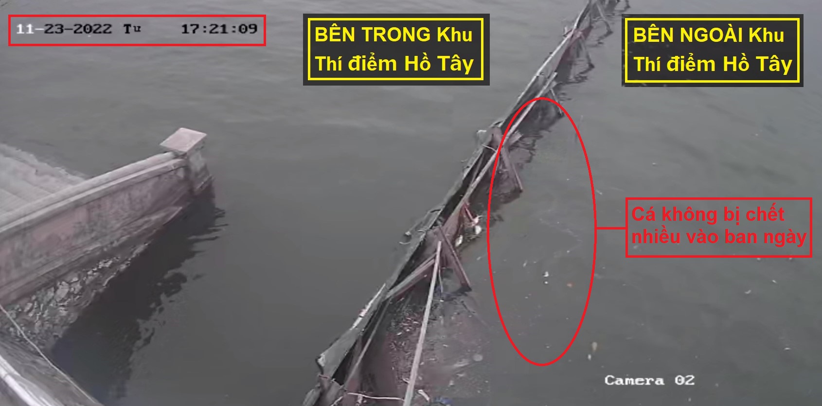 Hình ảnh camera giám sát chụp được ảnh cá không bị chết nhiều vào ban ngày (17h21p chiều ngày 23/11)