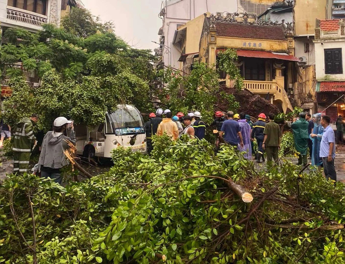 Hà Nội: Giao thông hỗn loạn sau mưa lớn, cây xanh ngã đè làm 1 người thiệt mạng