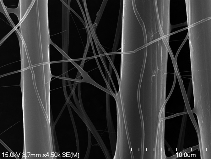Sợi nanochitosan fiber với crosslinking từ vỏ tôm