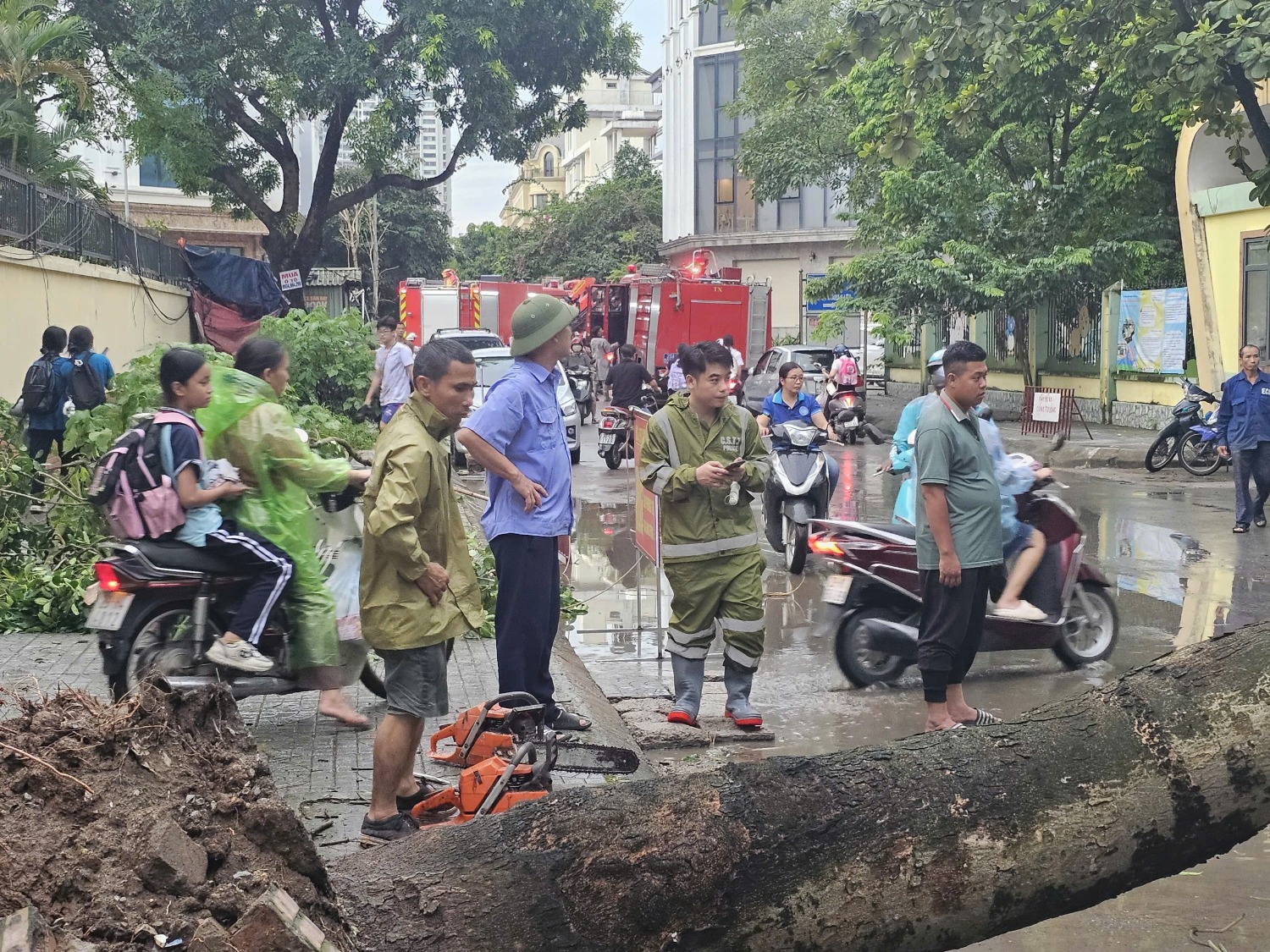 Hà Nội: Giao thông hỗn loạn sau mưa lớn, cây xanh ngã đè làm 1 người thiệt mạng