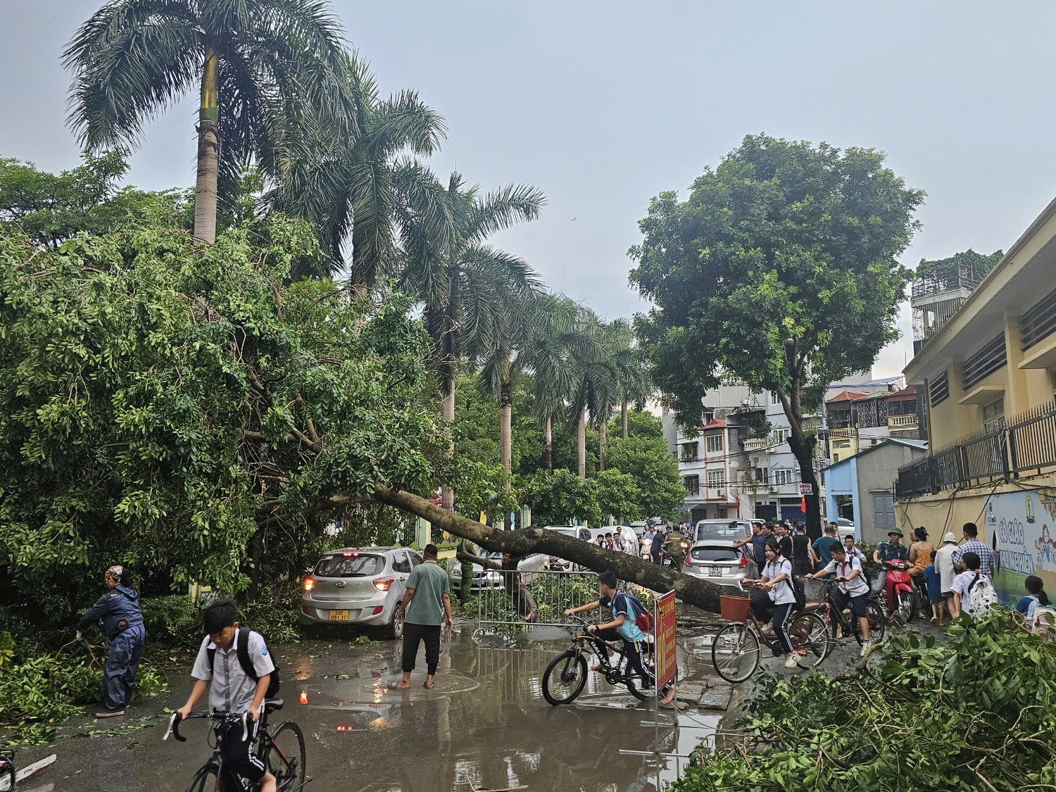 Hà Nội: Giao thông hỗn loạn sau mưa lớn, cây xanh ngã đè làm 1 người thiệt mạng