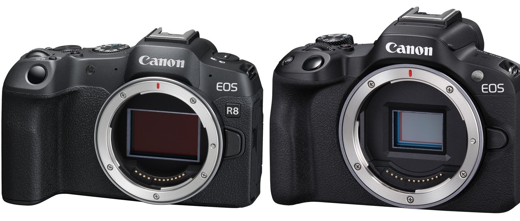 Canon R8, R50Canon, máy ảnh không gương lật