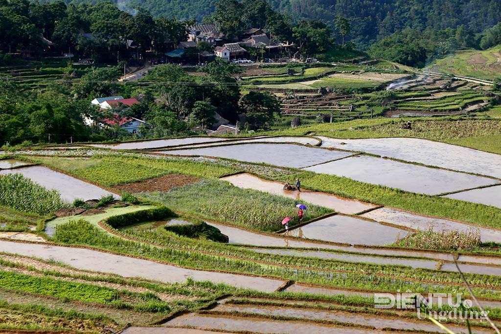 Ebino Resort & Spa Pù Luông, Ebino Resort, Ebino PuLuong, Bá Thước, khu nghỉ dưỡng