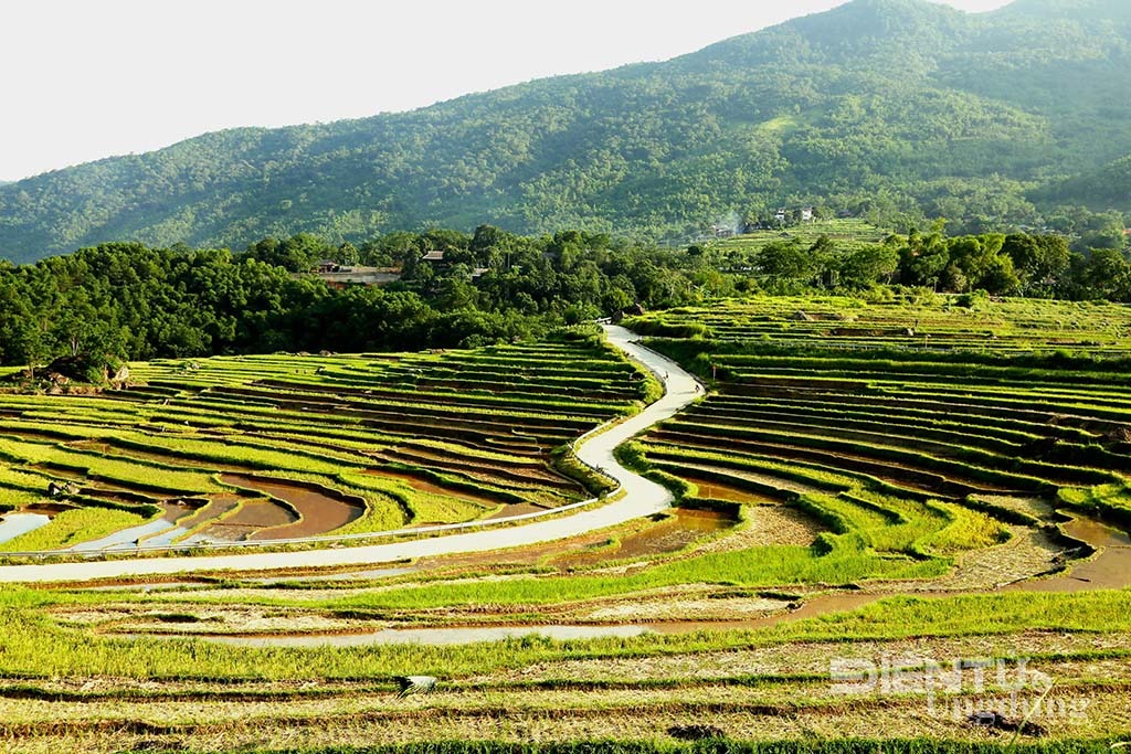 Ebino Resort & Spa Pù Luông, Ebino Resort, Ebino PuLuong, Bá Thước, khu nghỉ dưỡng